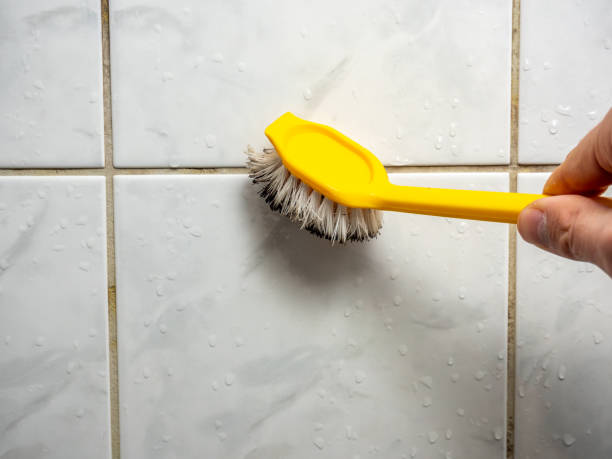 Best Home Mold Removal  in Long Beach, WA