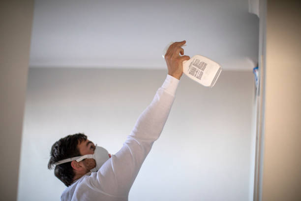 Best Residential Mold Removal  in Long Beach, WA