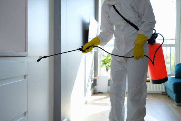 Best Mold Removal Company Near Me  in Long Beach, WA