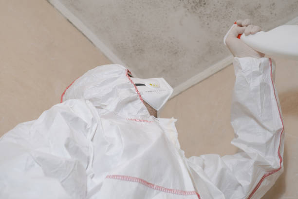Best Emergency Mold Removal  in Long Beach, WA