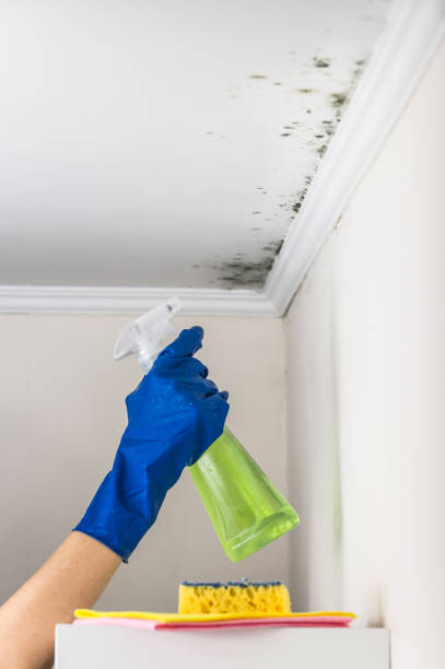 Water Damage Restoration in Long Beach, WA